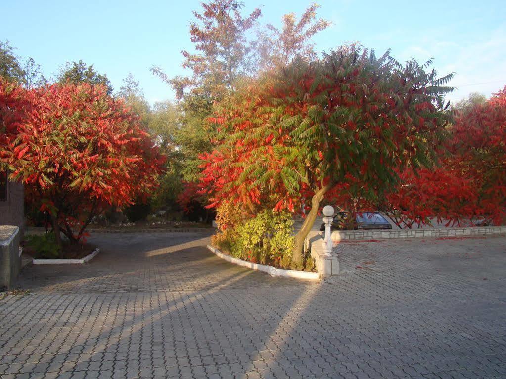 Zabava Guest House Ivano-Frankivsk Exterior foto